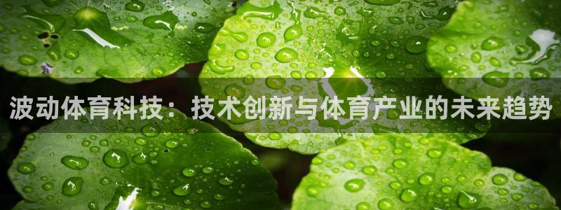 波动体育科技：技术创新与体育产业的未来趋势