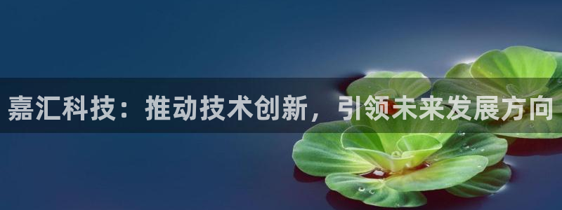 嘉汇科技：推动技术创新，引领未来发展方向